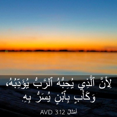 Picture 03 - أَمْثَالٌ 3:12 AVD - لِأَنَّ ٱلَّذِي يُحِبُّهُ - Bible Verse Picture