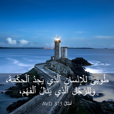 Picture 03 - أَمْثَالٌ 3:13 AVD - طُوبَى لِلْإِنْسَانِ - Bible Verse Picture