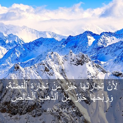 Picture 03 - أَمْثَالٌ 3:14 AVD - لِأَنَّ تِجَارَتَهَا - Bible Verse Picture