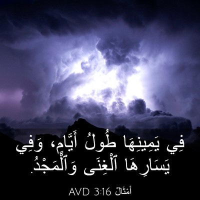 Picture 03 - أَمْثَالٌ 3:16 AVD - فِي يَمِينِهَا طُولُ - Bible Verse Picture