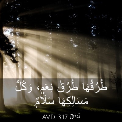 Picture 03 - أَمْثَالٌ 3:17 AVD - طُرُقُهَا طُرُقُ نِعَمٍ، - Bible Verse Picture