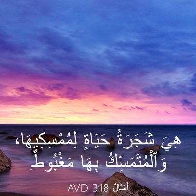 Picture 03 - أَمْثَالٌ 3:18 AVD - هِيَ شَجَرَةُ حَيَاةٍ - Bible Verse Picture