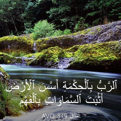 Picture 03 - أَمْثَالٌ 3:19 AVD - ٱلرَّبُّ بِٱلْحِكْمَةِ - Bible Verse Picture