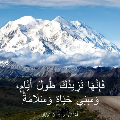 Picture 03 - أَمْثَالٌ 3:2 AVD - فَإِنَّهَا تَزِيدُكَ - Bible Verse Picture
