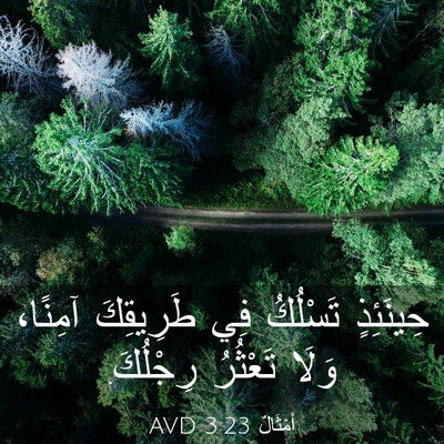 Picture 03 - أَمْثَالٌ 3:23 AVD - حِينَئِذٍ تَسْلُكُ فِي - Bible Verse Picture