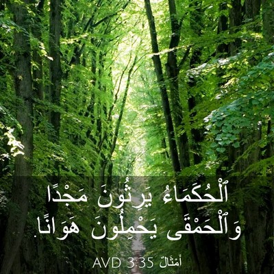 Picture 03 - أَمْثَالٌ 3:35 AVD - ٱلْحُكَمَاءُ يَرِثُونَ - Bible Verse Picture