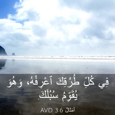 Picture 03 - أَمْثَالٌ 3:6 AVD - فِي كُلِّ طُرُقِكَ - Bible Verse Picture