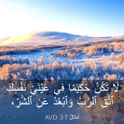 Picture 03 - أَمْثَالٌ 3:7 AVD - لَا تَكُنْ حَكِيمًا فِي - Bible Verse Picture
