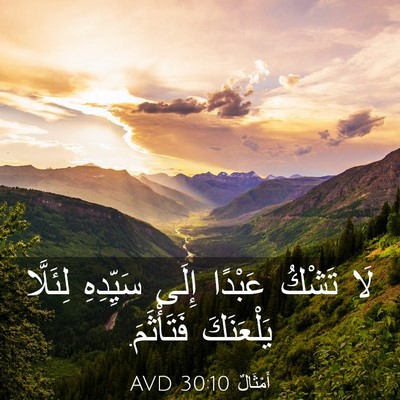 Picture 03 - أَمْثَالٌ 30:10 AVD - لَا تَشْكُ عَبْدًا إِلَى - Bible Verse Picture