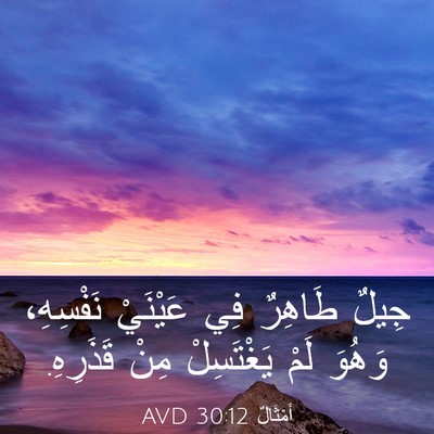 Picture 03 - أَمْثَالٌ 30:12 AVD - جِيلٌ طَاهِرٌ فِي عَيْنَيْ - Bible Verse Picture