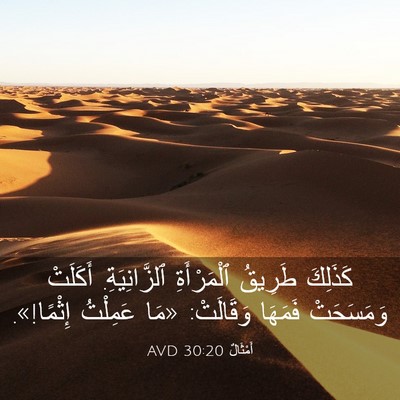 Picture 03 - أَمْثَالٌ 30:20 AVD - كَذَلِكَ طَرِيقُ - Bible Verse Picture