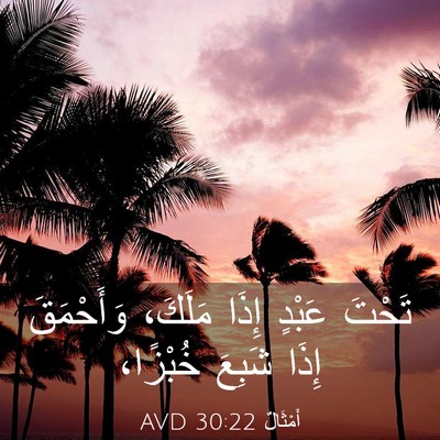 Picture 03 - أَمْثَالٌ 30:22 AVD - تَحْتَ عَبْدٍ إِذَا - Bible Verse Picture