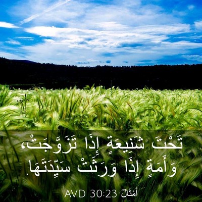 Picture 03 - أَمْثَالٌ 30:23 AVD - تَحْتَ شَنِيعَةٍ إِذَا - Bible Verse Picture