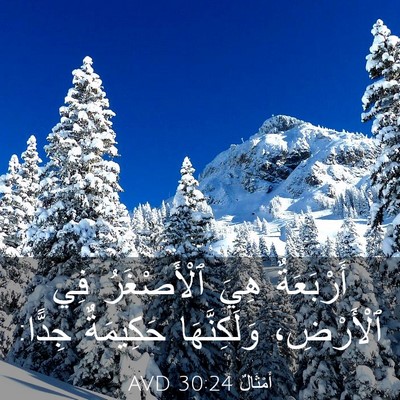 Picture 03 - أَمْثَالٌ 30:24 AVD - أَرْبَعَةٌ هِيَ - Bible Verse Picture