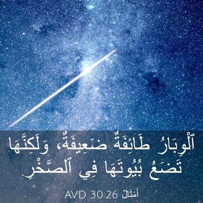 Picture 03 - أَمْثَالٌ 30:26 AVD - ٱلْوِبَارُ طَائِفَةٌ - Bible Verse Picture