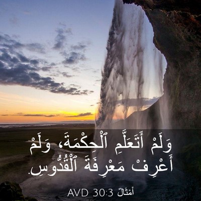 Picture 03 - أَمْثَالٌ 30:3 AVD - وَلَمْ أَتَعَلَّمِ - Bible Verse Picture