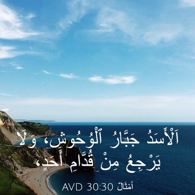 Picture 03 - أَمْثَالٌ 30:30 AVD - اَلْأَسَدُ جَبَّارُ - Bible Verse Picture