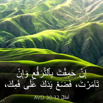 Picture 03 - أَمْثَالٌ 30:32 AVD - إِنْ حَمِقْتَ - Bible Verse Picture