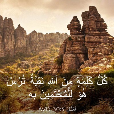 Picture 03 - أَمْثَالٌ 30:5 AVD - كُلُّ كَلِمَةٍ مِنَ ٱللهِ - Bible Verse Picture