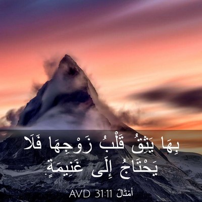 Picture 03 - أَمْثَالٌ 31:11 AVD - بِهَا يَثِقُ قَلْبُ - Bible Verse Picture
