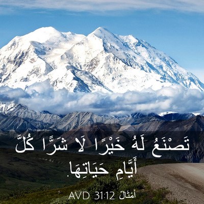 Picture 03 - أَمْثَالٌ 31:12 AVD - تَصْنَعُ لَهُ خَيْرًا لَا - Bible Verse Picture