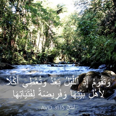 Picture 03 - أَمْثَالٌ 31:15 AVD - وَتَقُومُ إِذِ ٱللَّيْلُ - Bible Verse Picture