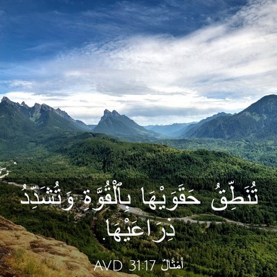 Picture 03 - أَمْثَالٌ 31:17 AVD - تُنَطِّقُ حَقَوَيْهَا - Bible Verse Picture