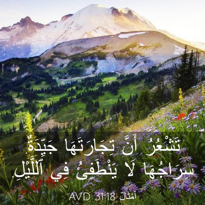Picture 03 - أَمْثَالٌ 31:18 AVD - تَشْعُرُ أَنَّ - Bible Verse Picture