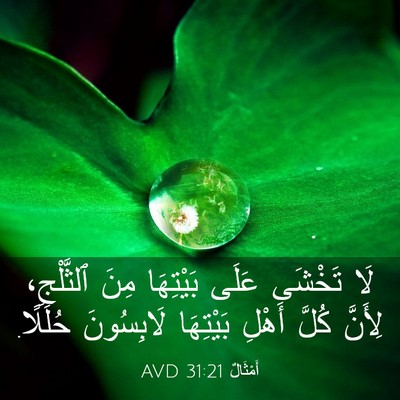 Picture 03 - أَمْثَالٌ 31:21 AVD - لَا تَخْشَى عَلَى - Bible Verse Picture