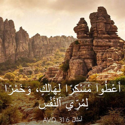 Picture 03 - أَمْثَالٌ 31:6 AVD - أَعْطُوا مُسْكِرًا - Bible Verse Picture