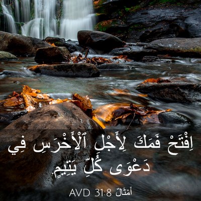 Picture 03 - أَمْثَالٌ 31:8 AVD - اِفْتَحْ فَمَكَ لِأَجْلِ - Bible Verse Picture