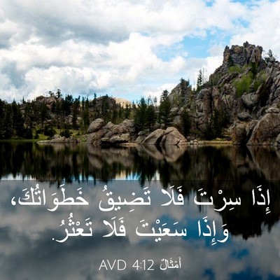 Picture 03 - أَمْثَالٌ 4:12 AVD - إِذَا سِرْتَ فَلَا تَضِيقُ - Bible Verse Picture