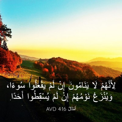 Picture 03 - أَمْثَالٌ 4:16 AVD - لِأَنَّهُمْ لَا - Bible Verse Picture