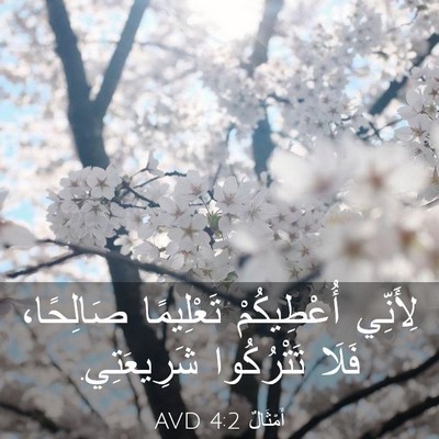 Picture 03 - أَمْثَالٌ 4:2 AVD - لِأَنِّي أُعْطِيكُمْ - Bible Verse Picture