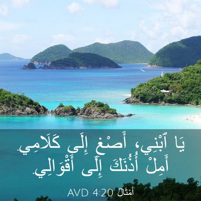 Picture 03 - أَمْثَالٌ 4:20 AVD - يَا ٱبْنِي، أَصْغِ إِلَى - Bible Verse Picture