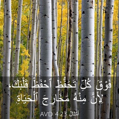 Picture 03 - أَمْثَالٌ 4:23 AVD - فَوْقَ كُلِّ تَحَفُّظٍ - Bible Verse Picture