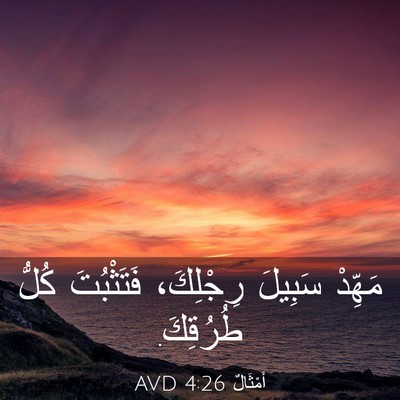 Picture 03 - أَمْثَالٌ 4:26 AVD - مَهِّدْ سَبِيلَ رِجْلِكَ، - Bible Verse Picture
