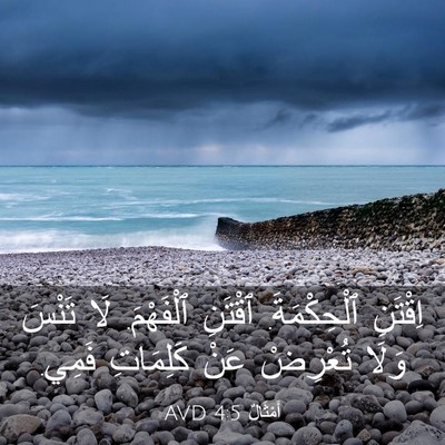 Picture 03 - أَمْثَالٌ 4:5 AVD - اِقْتَنِ ٱلْحِكْمَةَ. - Bible Verse Picture