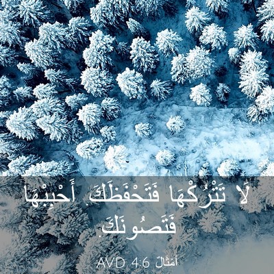 Picture 03 - أَمْثَالٌ 4:6 AVD - لَا تَتْرُكْهَا - Bible Verse Picture