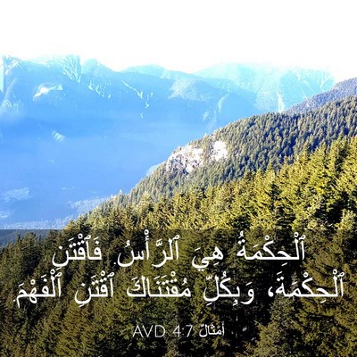 Picture 03 - أَمْثَالٌ 4:7 AVD - ٱلْحِكْمَةُ هِيَ - Bible Verse Picture