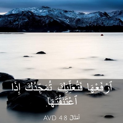 Picture 03 - أَمْثَالٌ 4:8 AVD - ٱرْفَعْهَا فَتُعَلِّيَكَ. - Bible Verse Picture