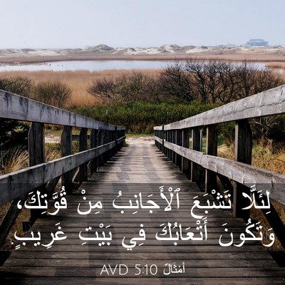 Picture 03 - أَمْثَالٌ 5:10 AVD - لِئَلَّا تَشْبَعَ - Bible Verse Picture