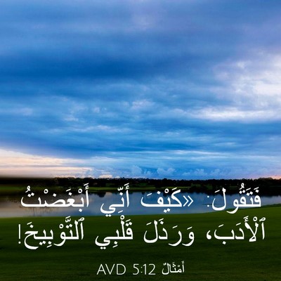 Picture 03 - أَمْثَالٌ 5:12 AVD - فَتَقُولَ: «كَيْفَ أَنِّي - Bible Verse Picture