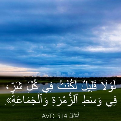 Picture 03 - أَمْثَالٌ 5:14 AVD - لَوْلَا قَلِيلٌ لَكُنْتُ - Bible Verse Picture