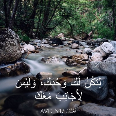 Picture 03 - أَمْثَالٌ 5:17 AVD - لِتَكُنْ لَكَ وَحْدَكَ، - Bible Verse Picture