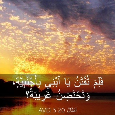 Picture 03 - أَمْثَالٌ 5:20 AVD - فَلِمَ تُفْتَنُ يَا ٱبْنِي - Bible Verse Picture