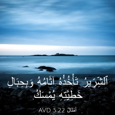 Picture 03 - أَمْثَالٌ 5:22 AVD - ٱلشِّرِّيرُ تَأْخُذُهُ - Bible Verse Picture