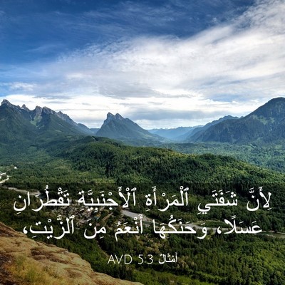 Picture 03 - أَمْثَالٌ 5:3 AVD - لِأَنَّ شَفَتَيِ - Bible Verse Picture