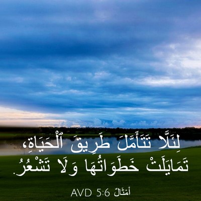 Picture 03 - أَمْثَالٌ 5:6 AVD - لِئَلَّا تَتَأَمَّلَ - Bible Verse Picture