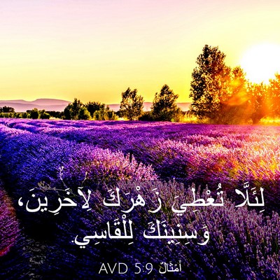Picture 03 - أَمْثَالٌ 5:9 AVD - لِئَلَّا تُعْطِيَ - Bible Verse Picture